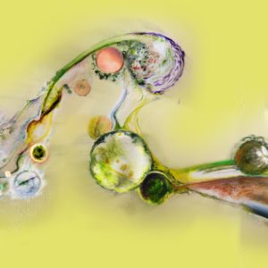Print on Aluminum Dibond - Spring