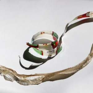 Print on Aluminum Dibond - Appeal