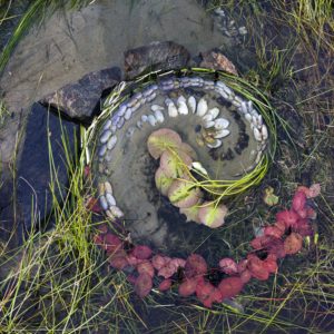 Print on Aluminum Dibond - Communio