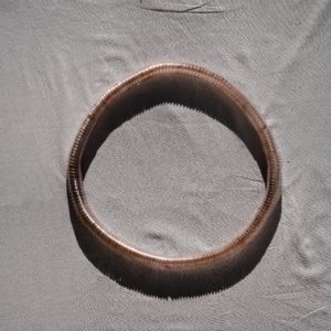Print on Aluminum Dibond - Halo 1