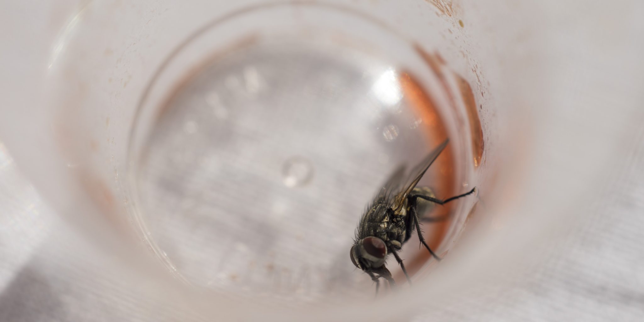 Cleaning the Inside of the Cup