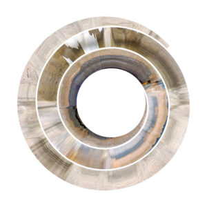 Print on Aluminum Dibond - Olga Korper